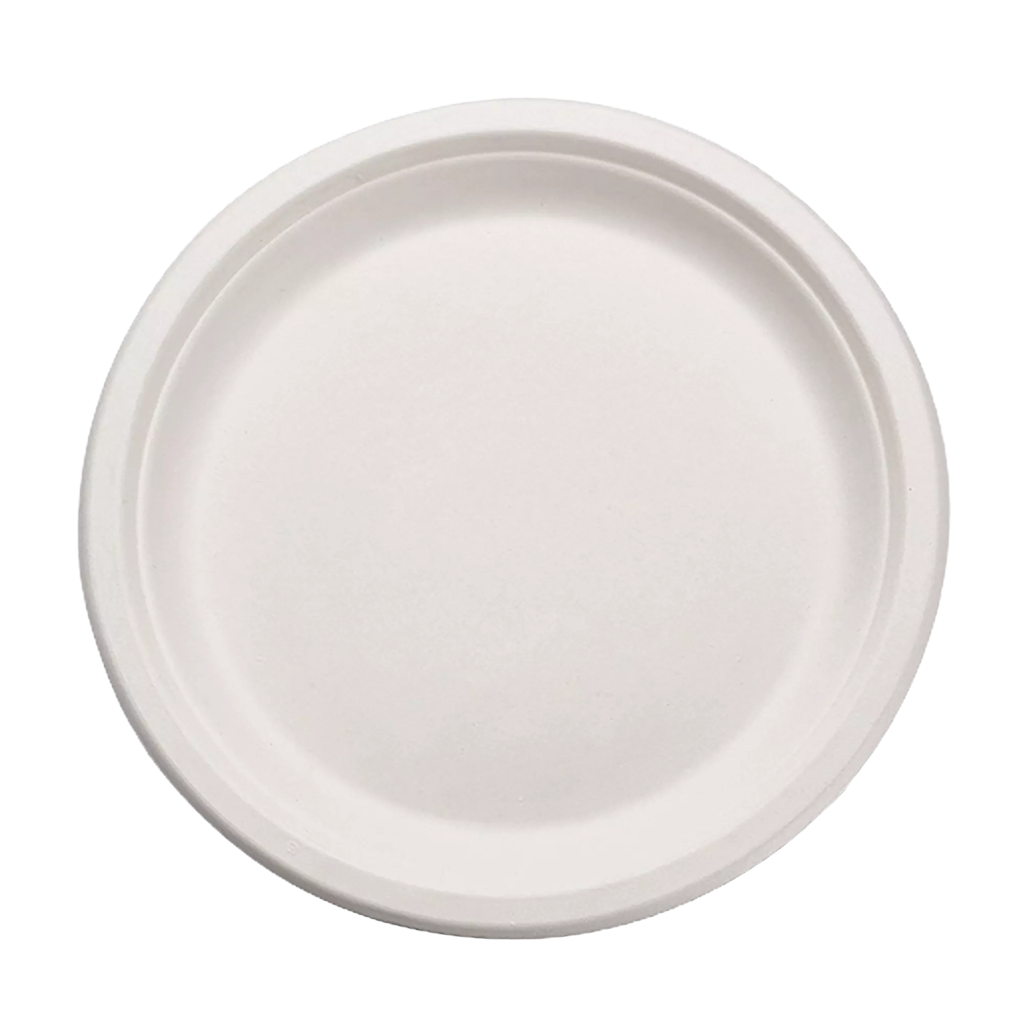 10″ Compostable Sugarcane Plate | 500 per case