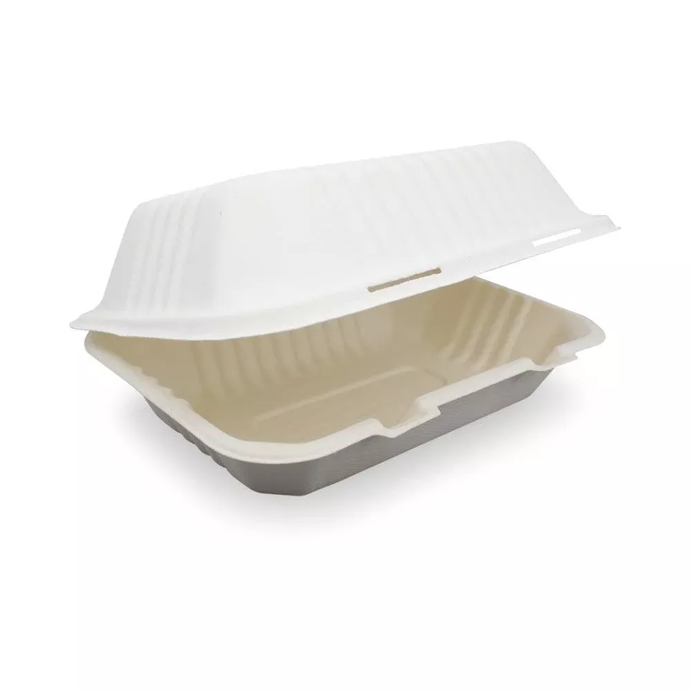 9x6inch Eco-friendly Sugarcane Lunch Box