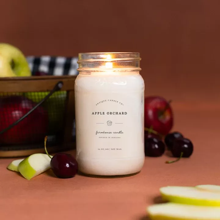 Antique Candle Co. – Apple Orchard Soy Candle
