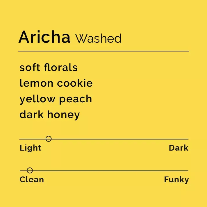 Aricha – Washed