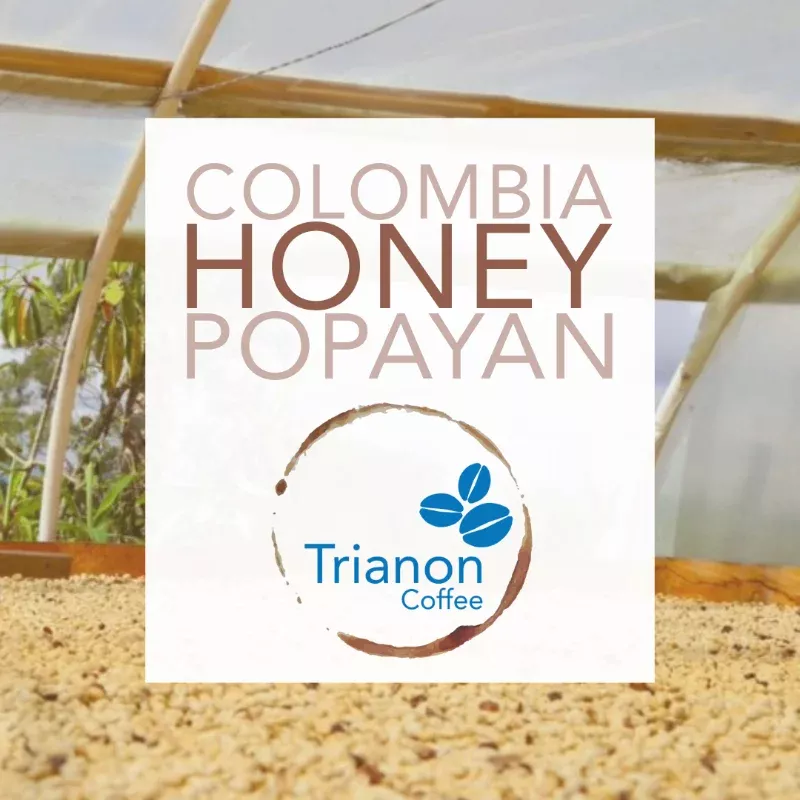 Colombia Honey