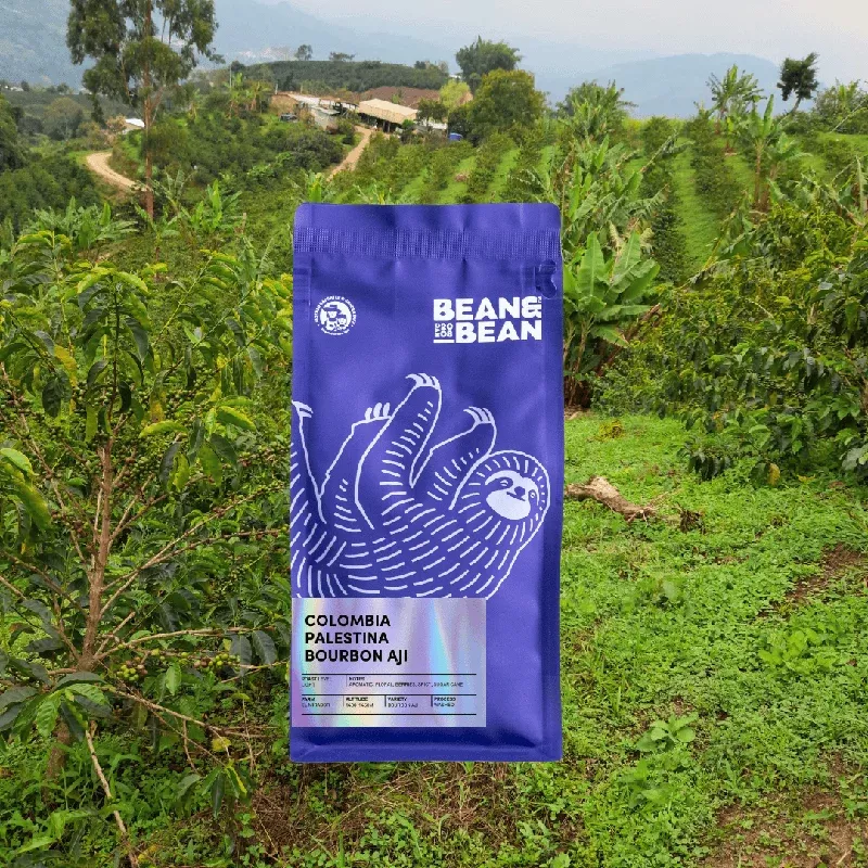 Colombia Palestina Bourbon Aji