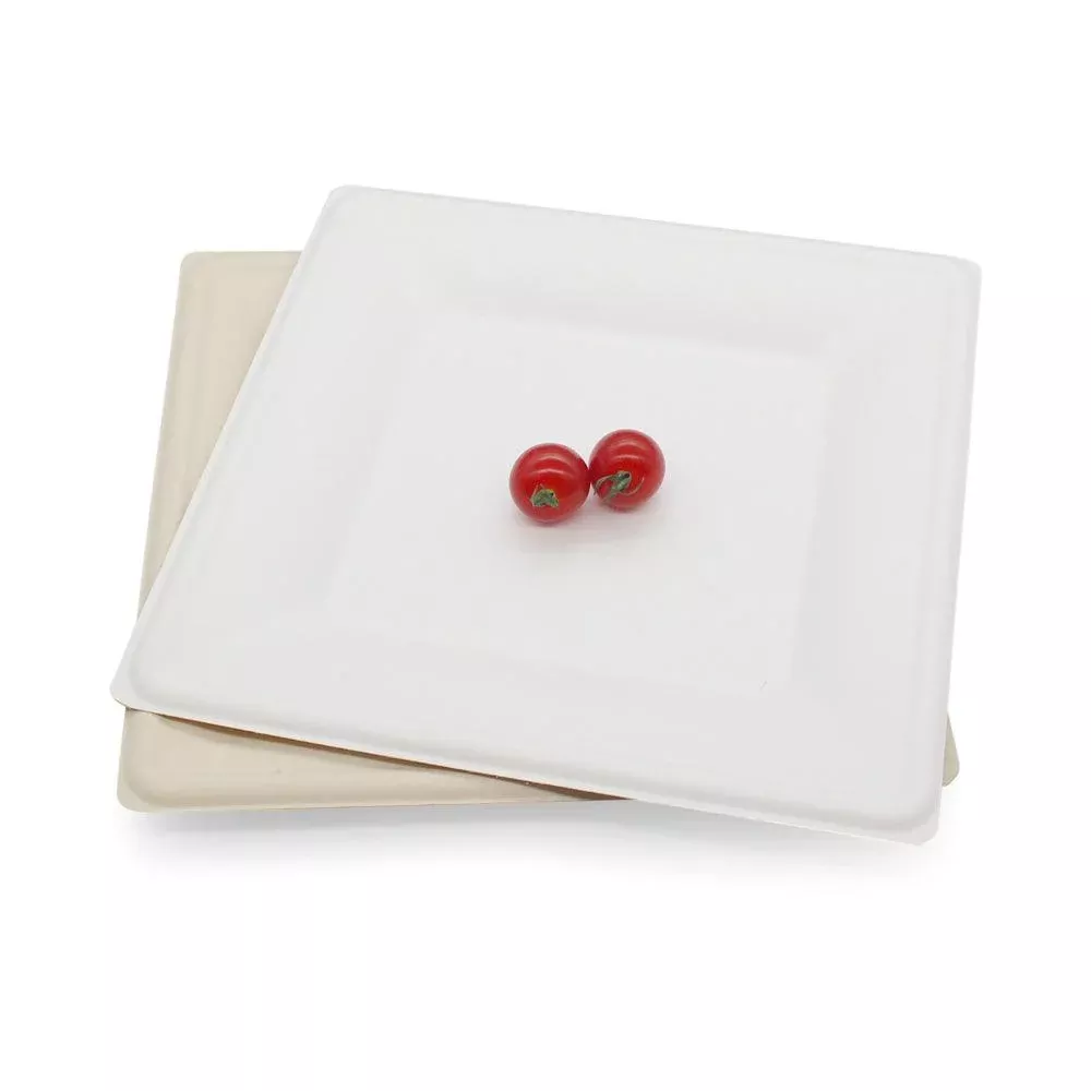 Eco-Friendly 8 Inch Bagasse Square Plate