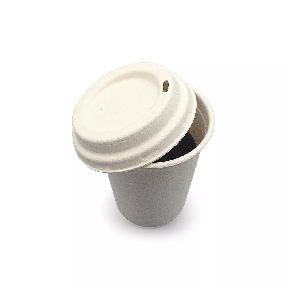 Eco-friendly Sugarcane Bagasse Cup 8oz