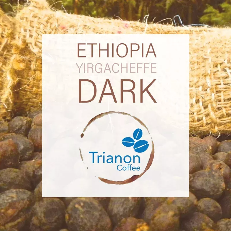 Ethiopia Yirgacheffe Dark