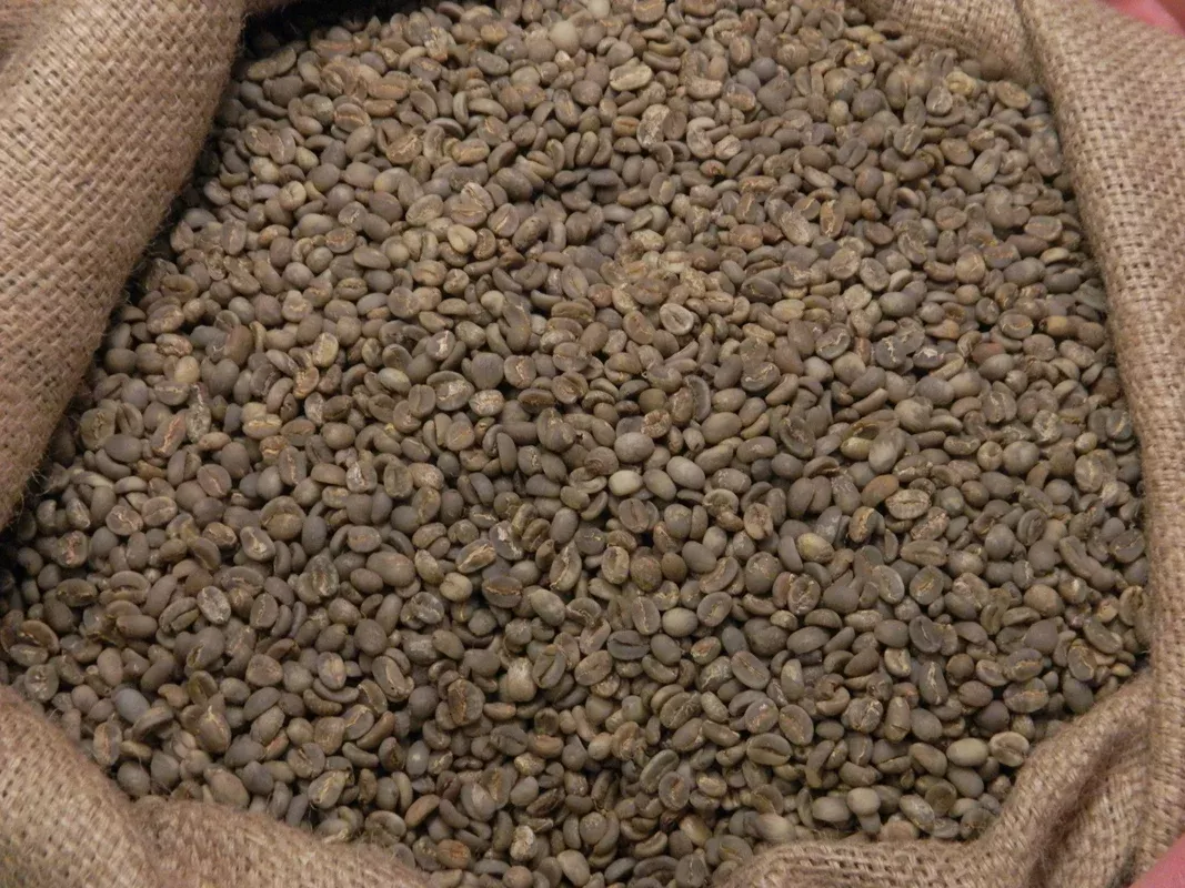 Flores Organic Bajawa Ngura Coffee Beans