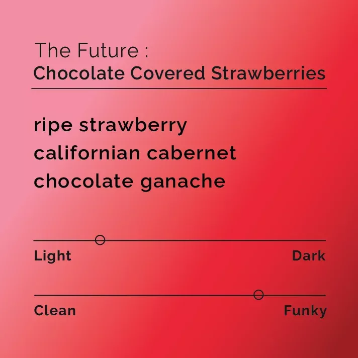 The Future – Chocolate Covered Strawberries