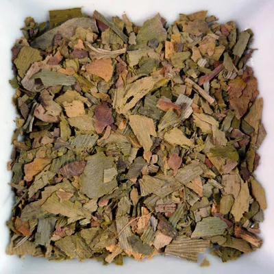 Ginkgo Leaf