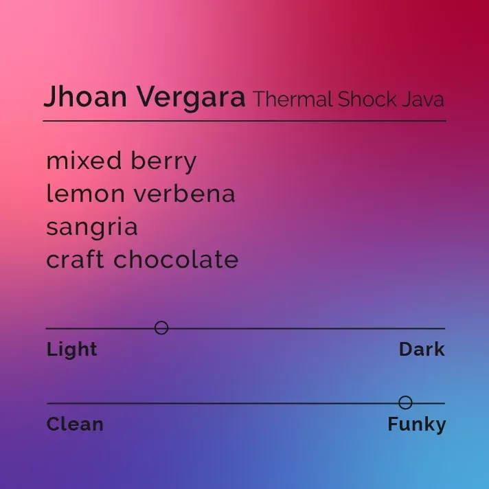 Jhoan Vergara – Thermal Shock Java