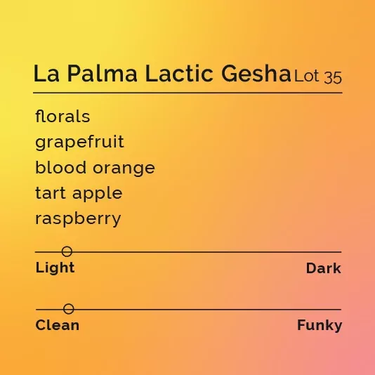 La Palma Lactic Gesha – Lot 35