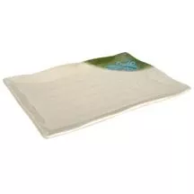 Melamine Rectangular Plate 13-1/2″x9″, Green