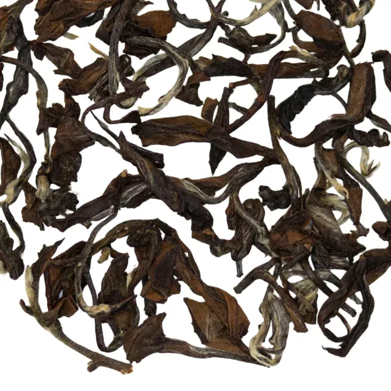 Nocturnal | Oolong Tea|2 ounce