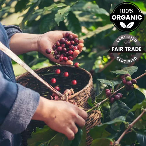 Organic Peru- Cajamarca