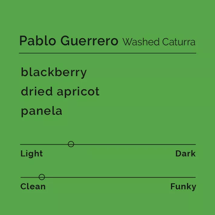 Pablo Guerrero – Washed Caturra