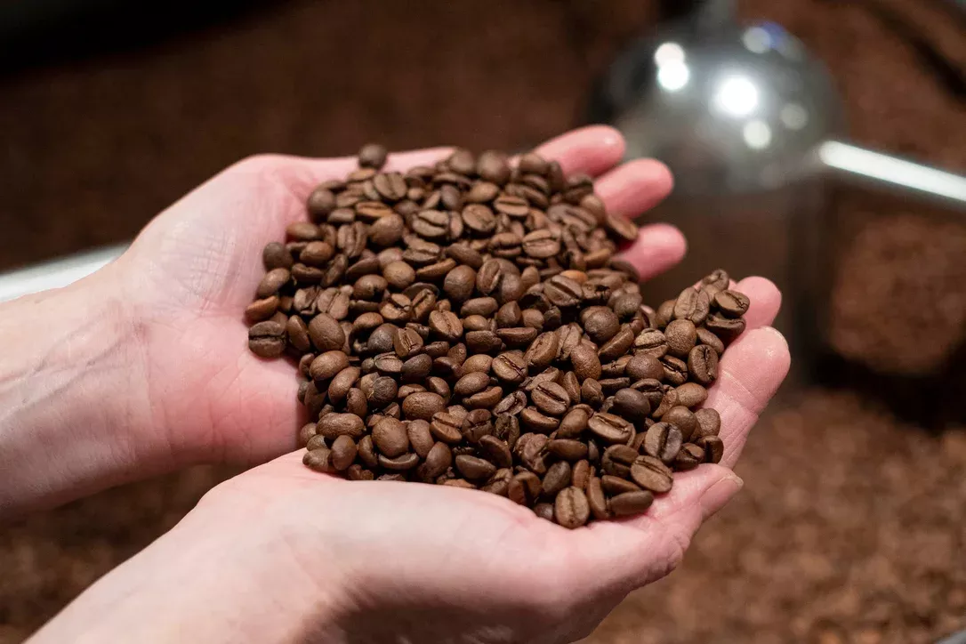 SCA INTRODUCTION TO COFFEE