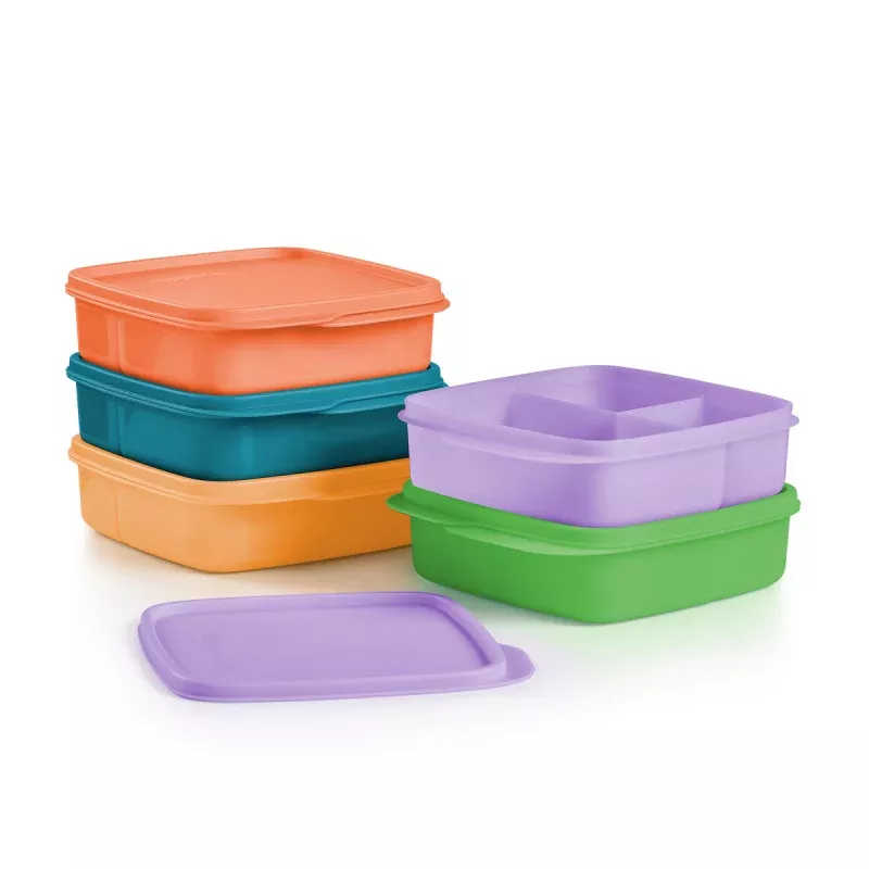 Tupperware Lunch-It Container Set